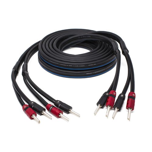 AudioQuest Rocket 22
