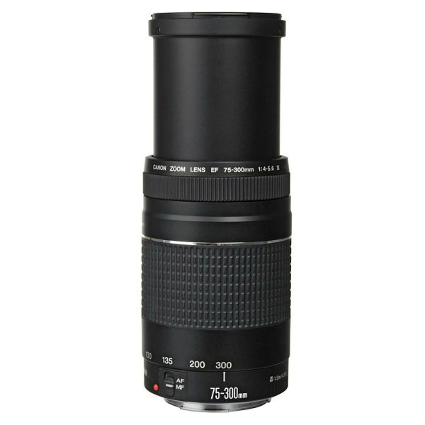 CANON 2000D 18-55 + 75-300
