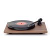 REGA PLANAR 1 walnut
