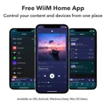 Audio streaming pojačalo WiiM AMP, space grey