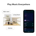 Audio streamer WiiM PRO PLUS