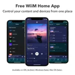 Audio streamer WiiM PRO PLUS