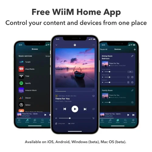 Audio streamer WiiM PRO PLUS