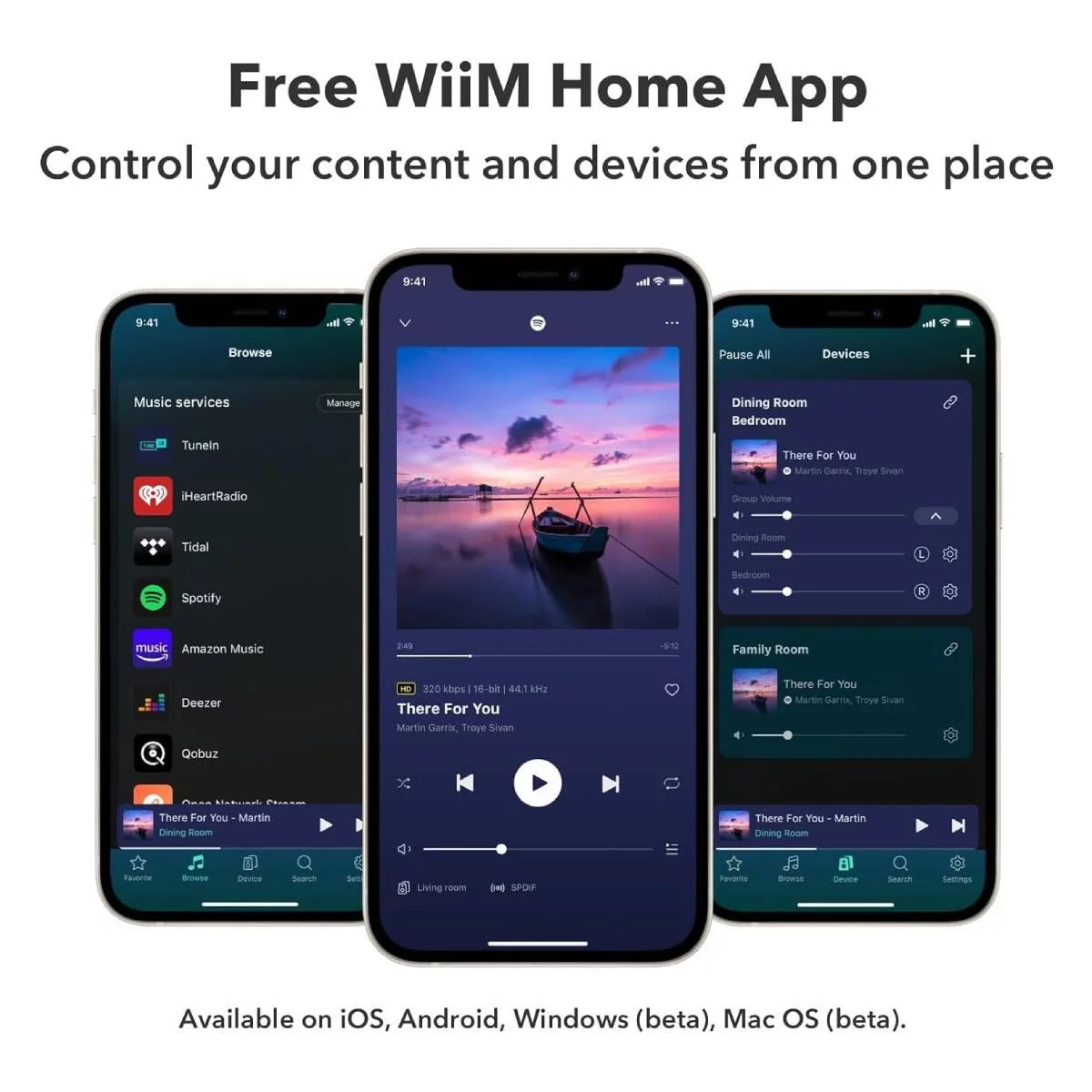 Audio streamer WiiM PRO PLUS