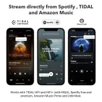 Audio streamer WiiM PRO PLUS