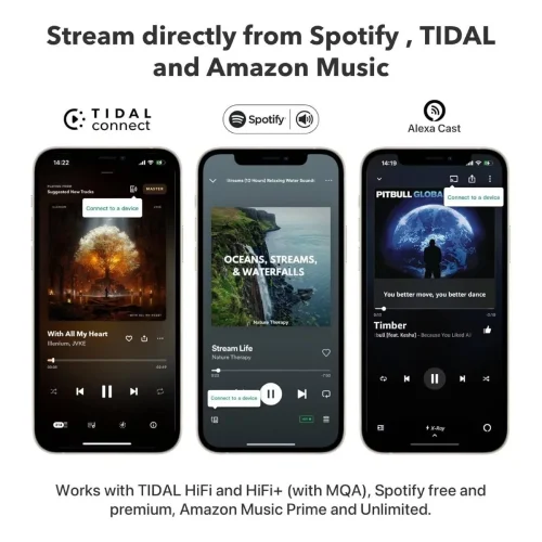 Audio streamer WiiM PRO PLUS