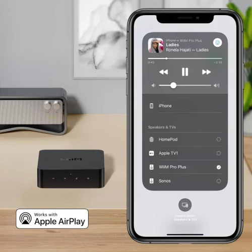 Audio streamer WiiM PRO PLUS
