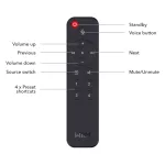 Daljinski upravljač WIIM VOICE REMOTE