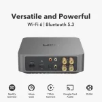 Integirano mrežno pojačalo WIIM AMP PRO, gray