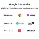 Integirano mrežno pojačalo WIIM AMP PRO, gray