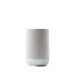 DENON HOME 200, silver (kom)