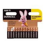 duracell b12 aaa