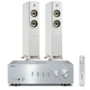 a-s301 silve + es50 white