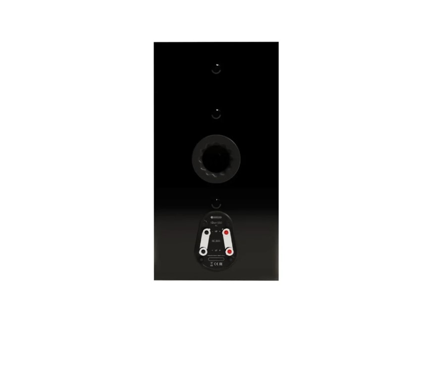 MONITOR AUDIO SILVER 100 8G B - Slika 2